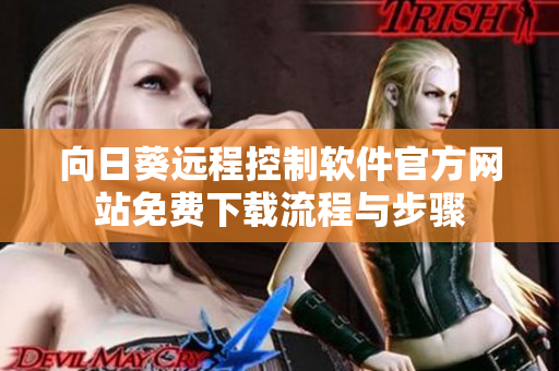 向日葵远程控制软件官方网站免费下载流程与步骤