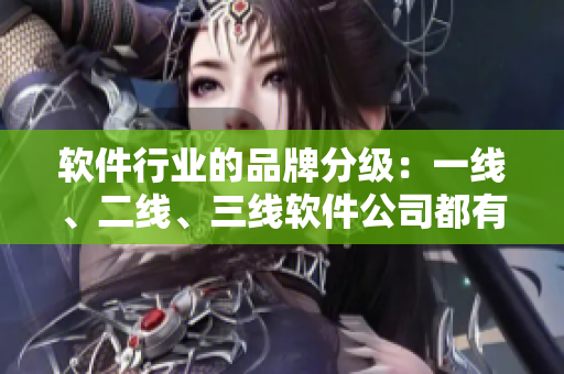 软件行业的品牌分级：一线、二线、三线软件公司都有哪些？