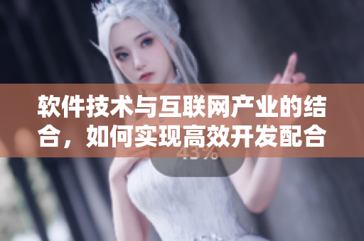 软件技术与互联网产业的结合，如何实现高效开发配合