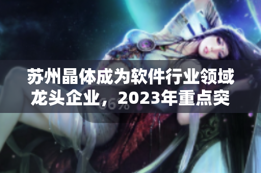 苏州晶体成为软件行业领域龙头企业，2023年重点突破与创新