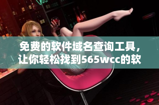 免费的软件域名查询工具，让你轻松找到565wcc的软件域名