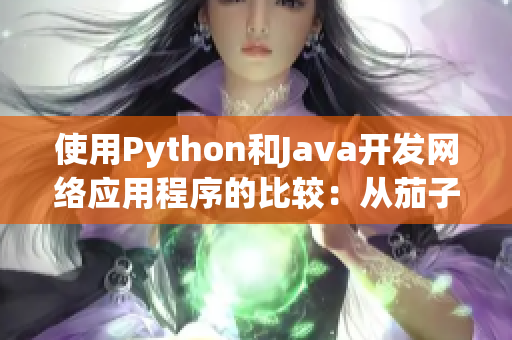 使用Python和Java开发网络应用程序的比较：从茄子到向日葵