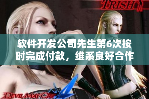 软件开发公司先生第6次按时完成付款，维系良好合作关系