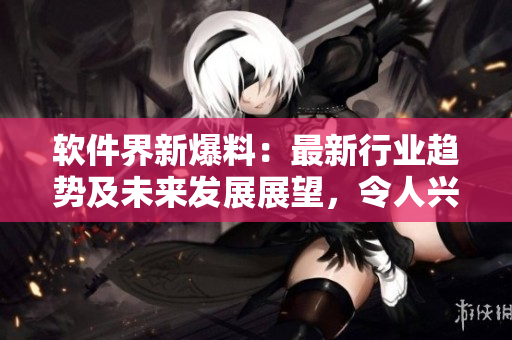 软件界新爆料：最新行业趋势及未来发展展望，令人兴奋！