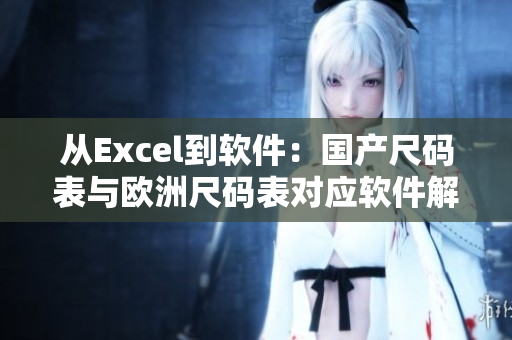 从Excel到软件：国产尺码表与欧洲尺码表对应软件解决方案