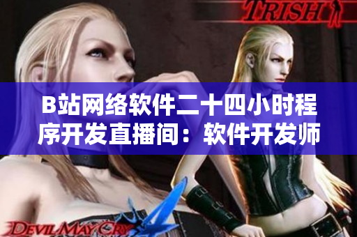B站网络软件二十四小时程序开发直播间：软件开发师们的学习聚集地