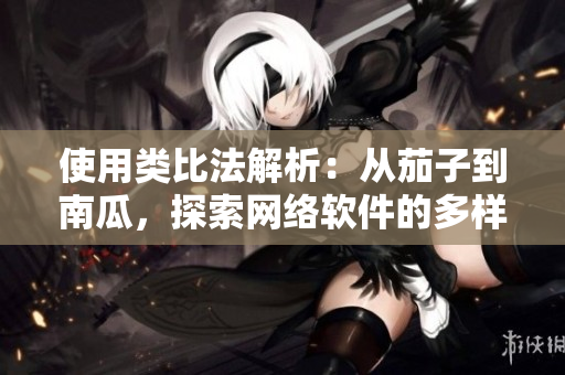 使用类比法解析：从茄子到南瓜，探索网络软件的多样化构建