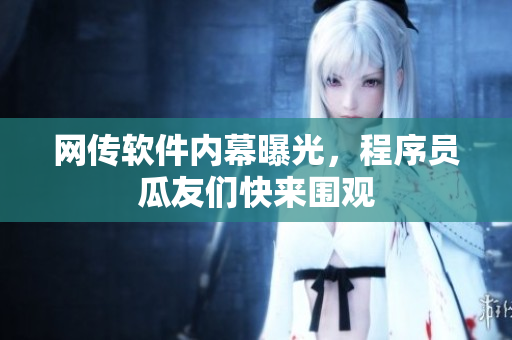 网传软件内幕曝光，程序员瓜友们快来围观