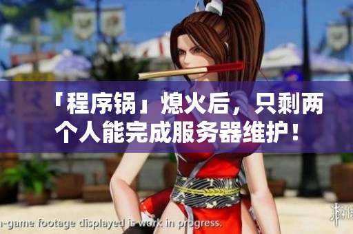 「程序锅」熄火后，只剩两个人能完成服务器维护！