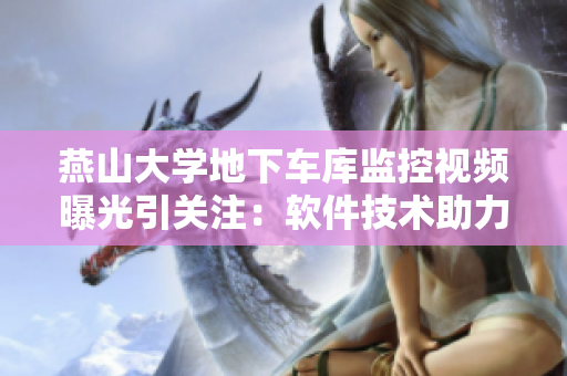 燕山大学地下车库监控视频曝光引关注：软件技术助力校园安全