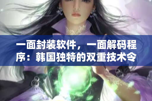 一面封装软件，一面解码程序：韩国独特的双重技术令人惊叹