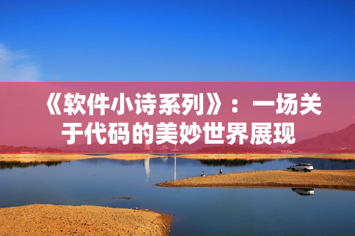 《软件小诗系列》：一场关于代码的美妙世界展现