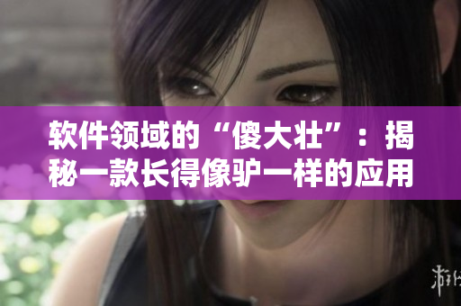软件领域的“傻大壮”：揭秘一款长得像驴一样的应用