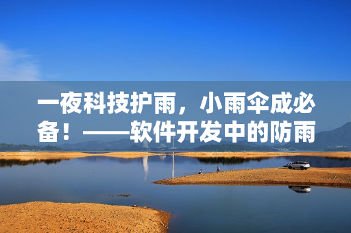 一夜科技护雨，小雨伞成必备！——软件开发中的防雨经验分享