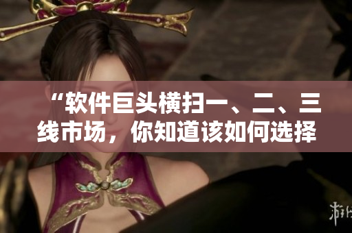 “软件巨头横扫一、二、三线市场，你知道该如何选择？”