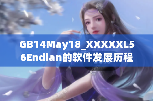 GB14May18_XXXXXL56Endian的软件发展历程
