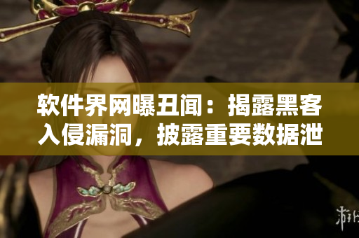 软件界网曝丑闻：揭露黑客入侵漏洞，披露重要数据泄漏门