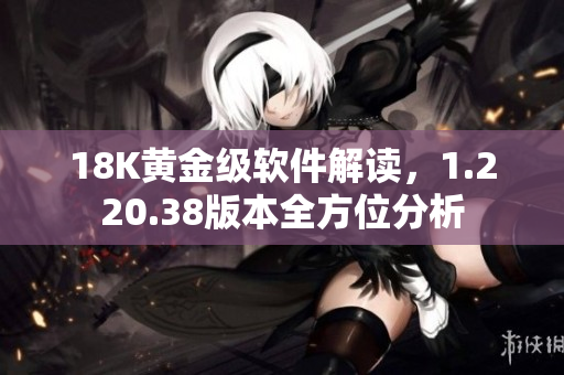 18K黄金级软件解读，1.220.38版本全方位分析