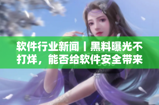 软件行业新闻丨黑料曝光不打烊，能否给软件安全带来启示？