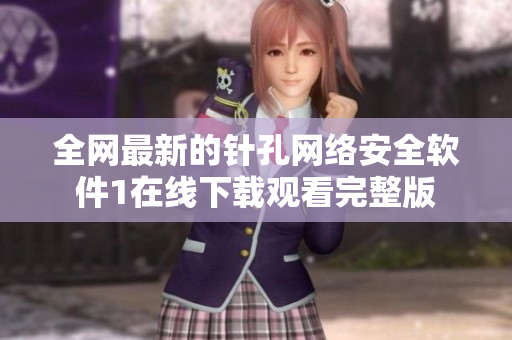 全网最新的针孔网络安全软件1在线下载观看完整版