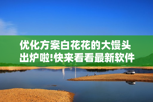 优化方案白花花的大馒头 出炉啦!快来看看最新软件设计技巧