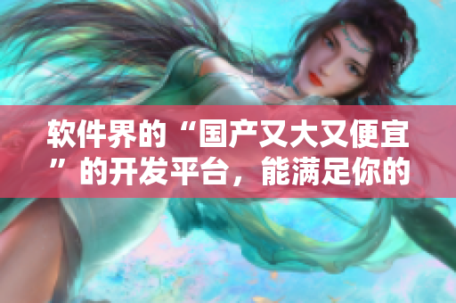 软件界的“国产又大又便宜”的开发平台，能满足你的所有需求！
