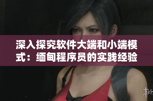 深入探究软件大端和小端模式：缅甸程序员的实践经验分享