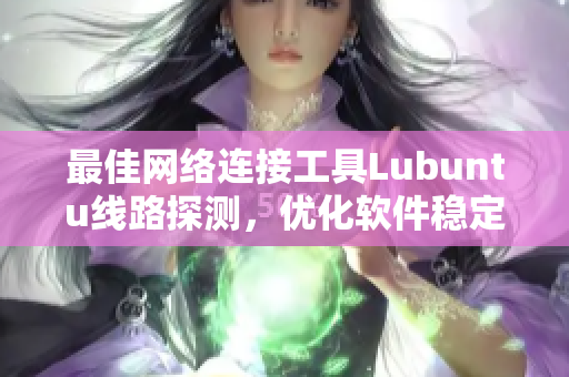 最佳网络连接工具Lubuntu线路探测，优化软件稳定更高效
