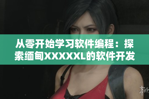 从零开始学习软件编程：探索缅甸XXXXXL的软件开发世界