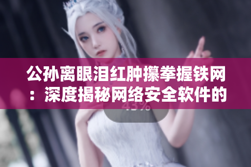 公孙离眼泪红肿攥拳握铁网：深度揭秘网络安全软件的重要性