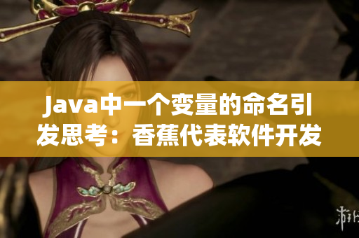 Java中一个变量的命名引发思考：香蕉代表软件开发中的加盟费用？