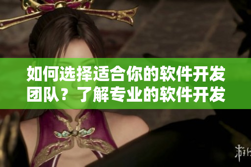 如何选择适合你的软件开发团队？了解专业的软件开发公司!