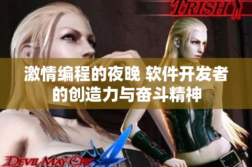 激情编程的夜晚 软件开发者的创造力与奋斗精神