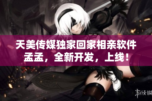 天美传媒独家回家相亲软件孟孟，全新开发，上线！