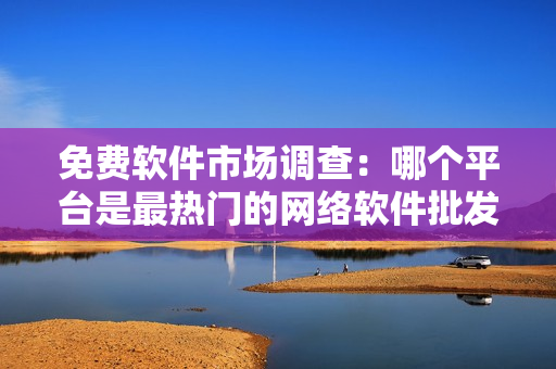 免费软件市场调查：哪个平台是最热门的网络软件批发网站？