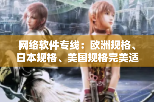 网络软件专线：欧洲规格、日本规格、美国规格完美适配，让您的软件畅通无阻！