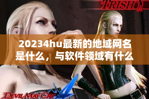 20234hu最新的地域网名是什么，与软件领域有什么关系？