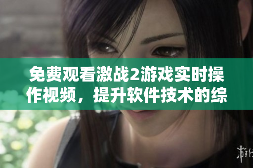 免费观看激战2游戏实时操作视频，提升软件技术的综合应用能力！