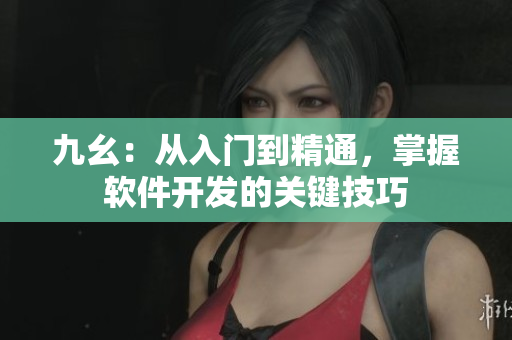 九幺：从入门到精通，掌握软件开发的关键技巧
