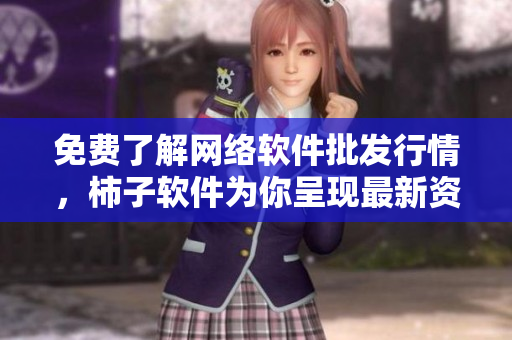 免费了解网络软件批发行情，柿子软件为你呈现最新资讯