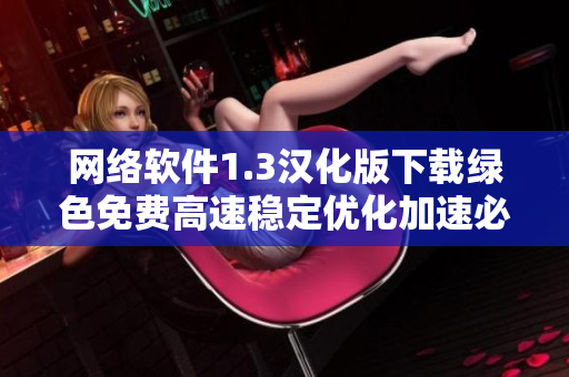 网络软件1.3汉化版下载绿色免费高速稳定优化加速必备工具！