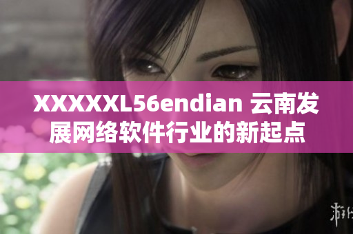XXXXXL56endian 云南发展网络软件行业的新起点
