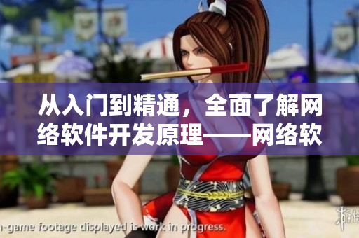 从入门到精通，全面了解网络软件开发原理——网络软件开发指南