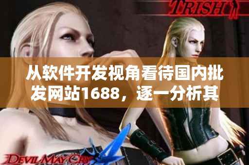 从软件开发视角看待国内批发网站1688，逐一分析其优势与劣势