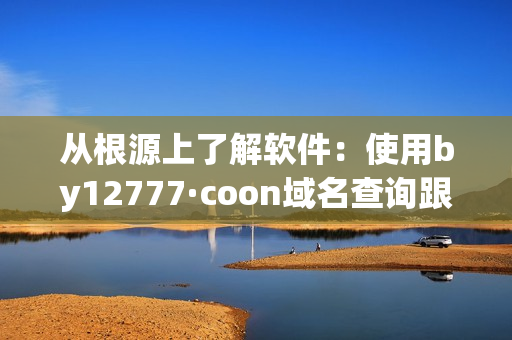 从根源上了解软件：使用by12777·coon域名查询跟踪软件的源头