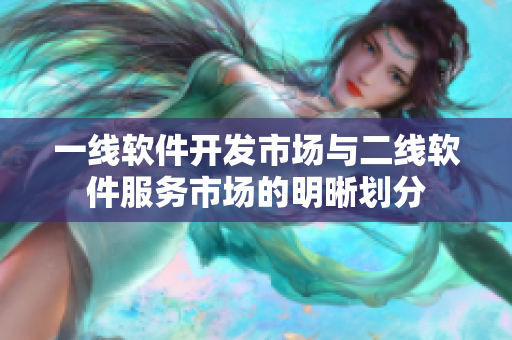 一线软件开发市场与二线软件服务市场的明晰划分