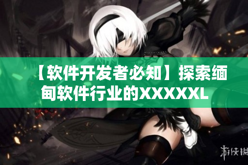 【软件开发者必知】探索缅甸软件行业的XXXXXL