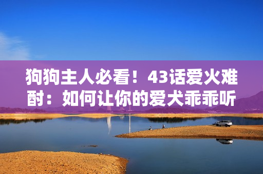 狗狗主人必看！43话爱火难酎：如何让你的爱犬乖乖听从你的指令？