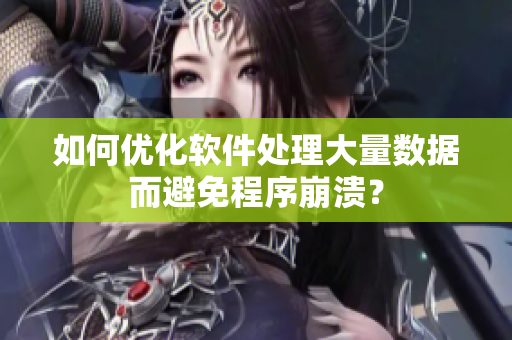 如何优化软件处理大量数据而避免程序崩溃？