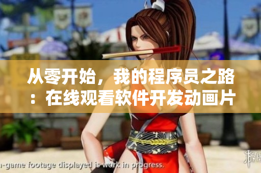 从零开始，我的程序员之路：在线观看软件开发动画片